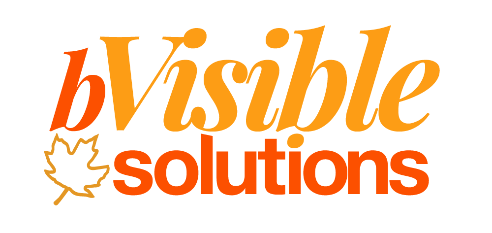 BVisible Solutions
